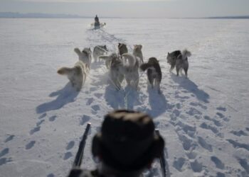 Greenlanders Are Ready to Fight