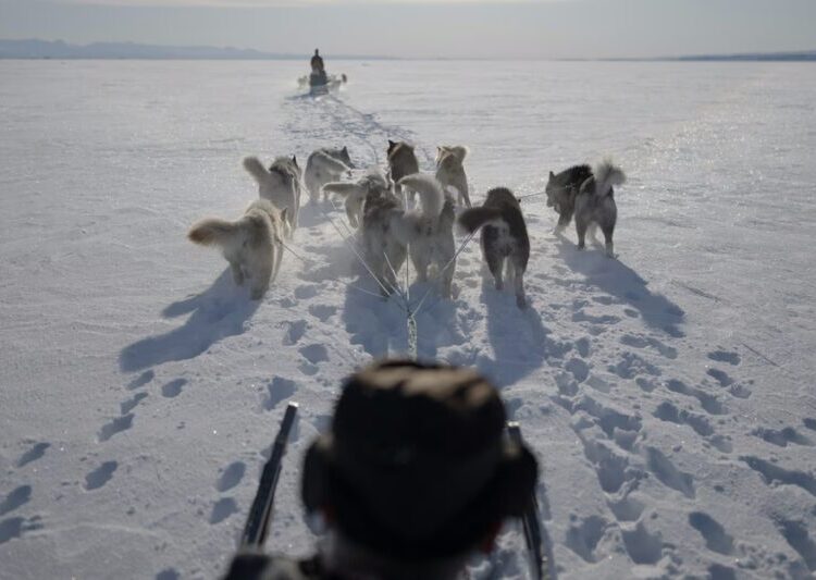 Greenlanders Are Ready to Fight