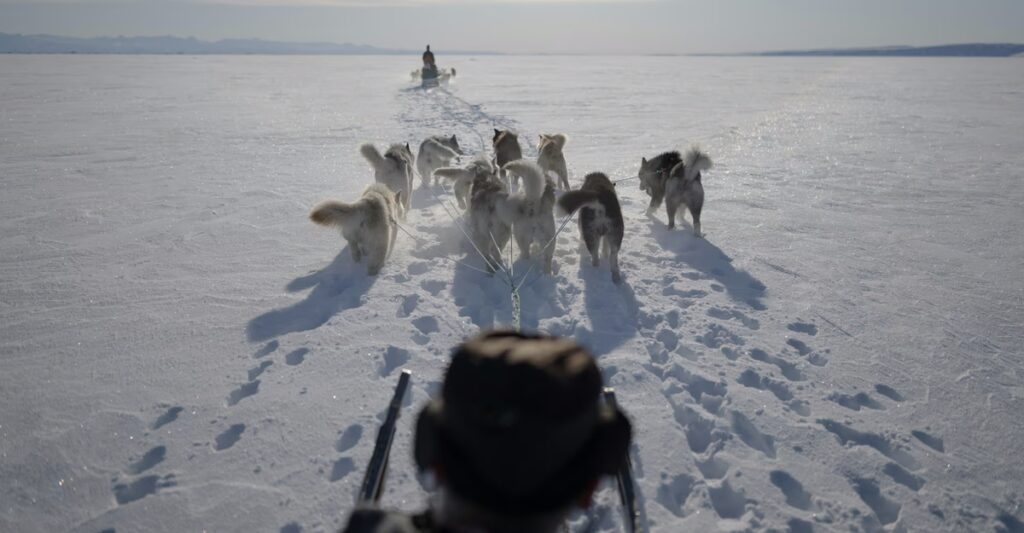 Greenlanders Are Ready to Fight