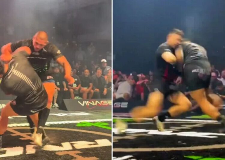 Forget the NFL: New Sport Forces Two Massive Guys to Smash Into Each Other like Rhinos