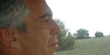 Right-wing pundits accused of coordinated campaign to excuse Epstein pals