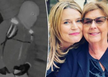 One detail from Nancy Guthrie’s home security video could give away suspect’s identity: expert