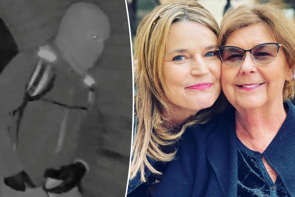 One detail from Nancy Guthrie’s home security video could give away suspect’s identity: expert