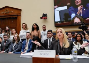 Dem lawmaker flags ‘ties’ between Trump and sender of Epstein ‘torture’ email