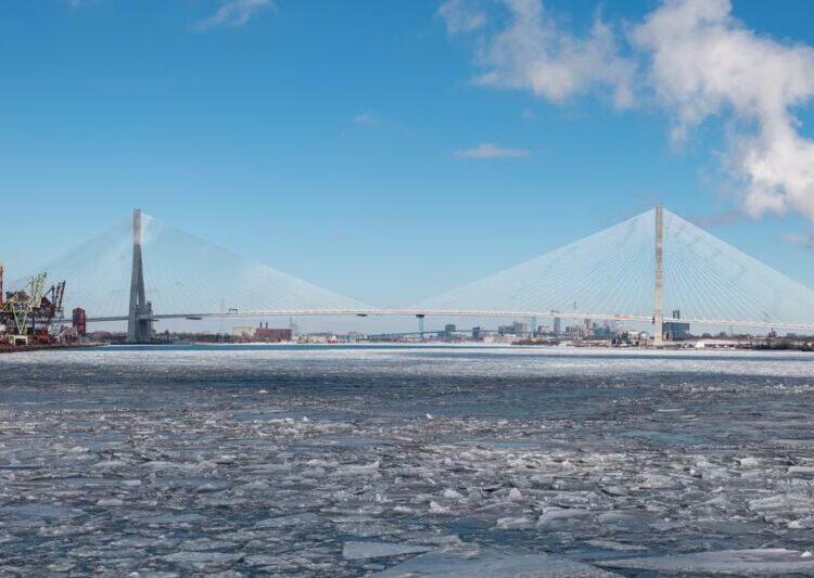 Trump Has a Bridge He Wants to Sell You