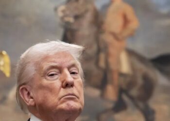 CEOs are still buying into the business case for sustainability, despite Trump’s climate rollbacks