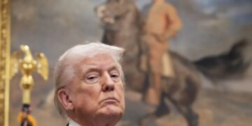 CEOs are still buying into the business case for sustainability, despite Trump’s climate rollbacks