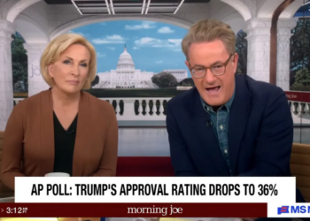 ‘Never seen polling like this’: News hosts taken aback by ’51 point swing’ against Trump