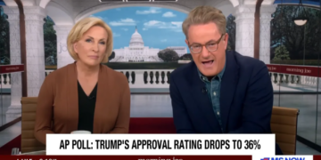 ‘Never seen polling like this’: News hosts taken aback by ’51 point swing’ against Trump