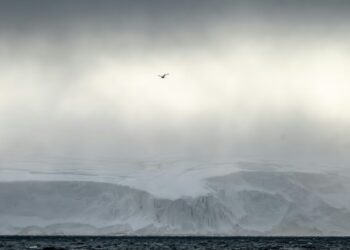 The Blind Spot at the Top of the World