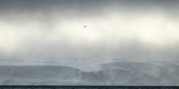 The Blind Spot at the Top of the World