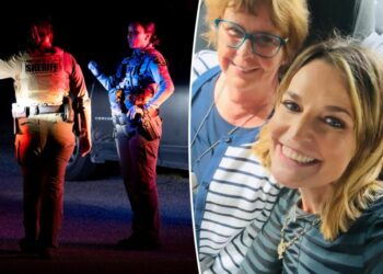 One man detained after SWAT team raids home near Nancy Guthrie’s house: report