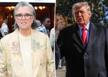 Rosie O’Donnell reveals secret return to US to ‘see if it was safe’ after Trump citizenship threat