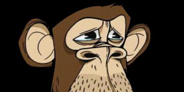 You’ll Be Sorry When You Hear What Justin Bieber’s $1.3 Million Bored Ape Is Worth Now