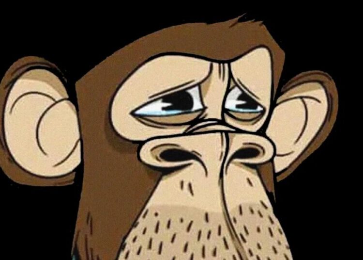 You’ll Be Sorry When You Hear What Justin Bieber’s $1.3 Million Bored Ape Is Worth Now