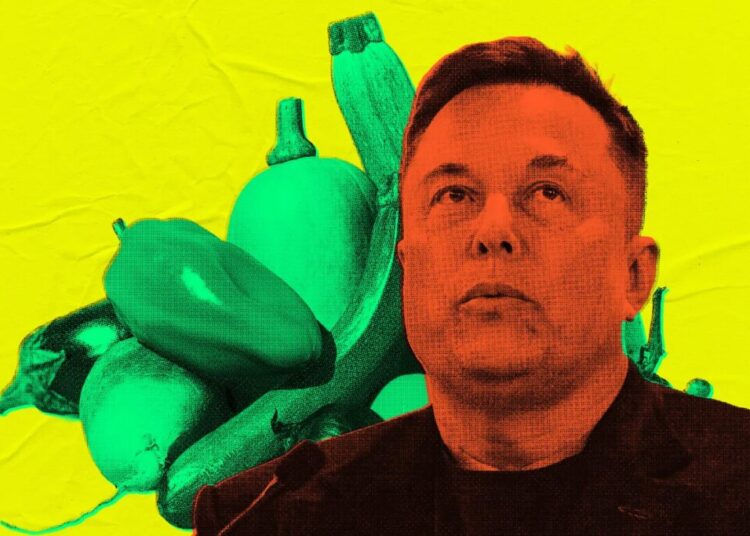 US Government Deploys Elon Musk’s Grok as Nutrition Bot, Where It Immediately Gives Advice for Rectal Use of Vegetables