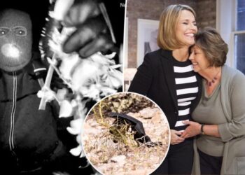 DNA recovered from glove linked to Nancy Guthrie suspect in bombshell discovery