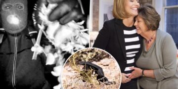 DNA recovered from glove linked to Nancy Guthrie suspect in bombshell discovery