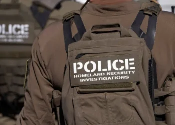 ICE chief ‘gave up game’ on Trump’s midterm plan — then ‘stammered’ to fix mess: analysis