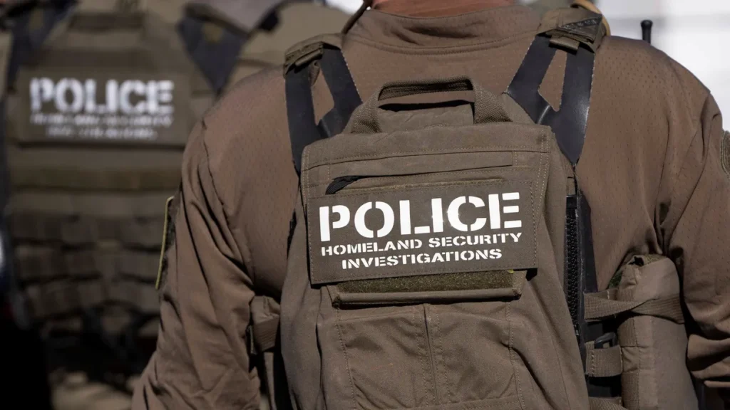 ICE chief ‘gave up game’ on Trump’s midterm plan — then ‘stammered’ to fix mess: analysis