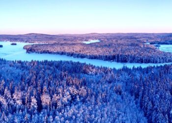 Forests Are Steadily Crawling North, Satellite Imagery Shows