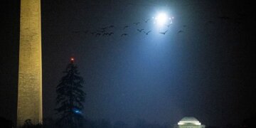 U.S. Reportedly Sends Asylum Seekers to Cameroon in Secret