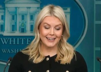 Karoline Leavitt can’t keep straight face while delivering ‘obviously true’ claims