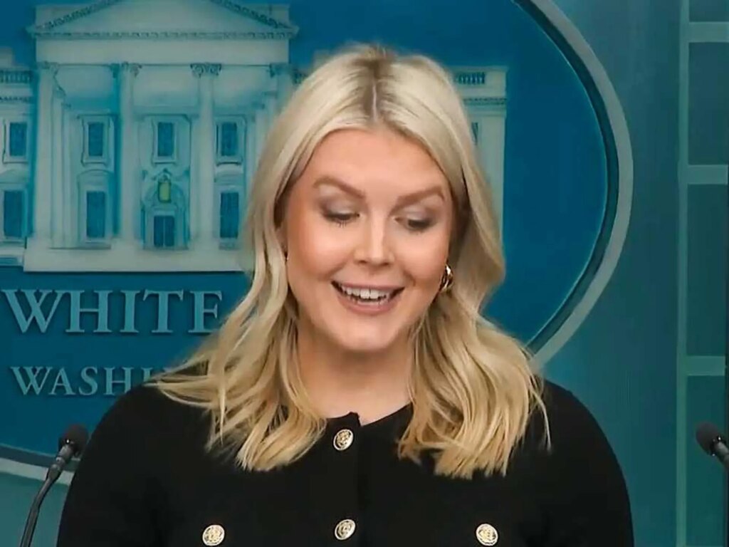 Karoline Leavitt can’t keep straight face while delivering ‘obviously true’ claims