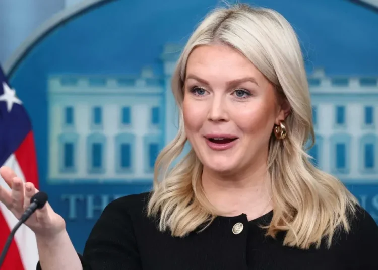 ‘Absolutely sickening’: Analyst gobsmacked as Karoline Leavitt exposes Trump plot