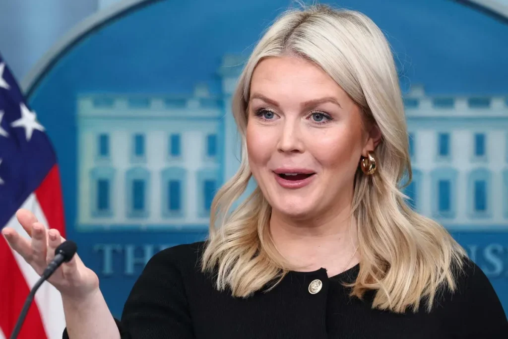 ‘Absolutely sickening’: Analyst gobsmacked as Karoline Leavitt exposes Trump plot