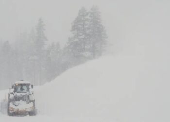 Skiers paid $1,165 to join a guided tour that left 8 dead and 1 missing in a California avalanche