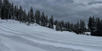 What to Know About the Deadly California Avalanche