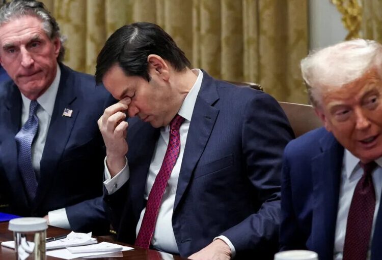 ‘Phenomenal idea!’ Jen Psaki giddy as Trump may send ‘nightmare’ Cabinet on campaign trail