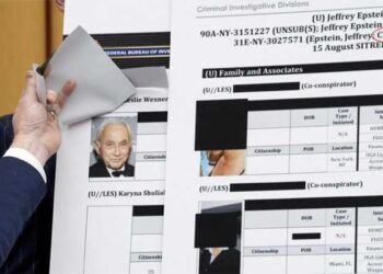 GOP donor’s Epstein denials dismantled on MS NOW: ‘Come on, man. No one believes that’