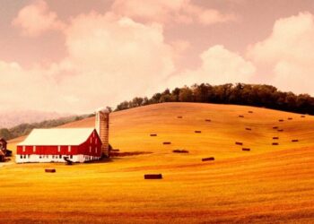 Farmer Hailed as Hero for Rejecting Huge Payment to Turn His Land Into a Giant Data Center