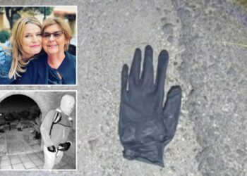 Arizona couple found blood-spotted glove, rock with blood on it in desert mile from Nancy Guthrie’s home: report