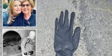 Arizona couple found blood-spotted glove, rock with blood on it in desert mile from Nancy Guthrie’s home: report