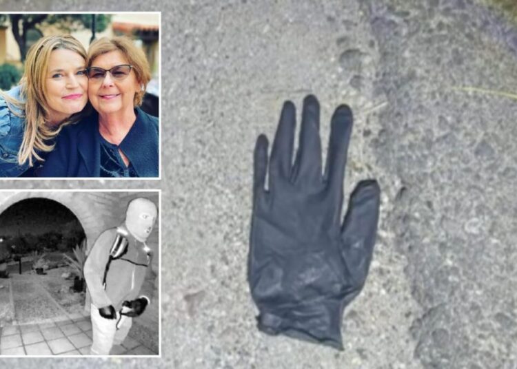 Arizona couple found blood-spotted glove, rock with blood on it in desert mile from Nancy Guthrie’s home: report