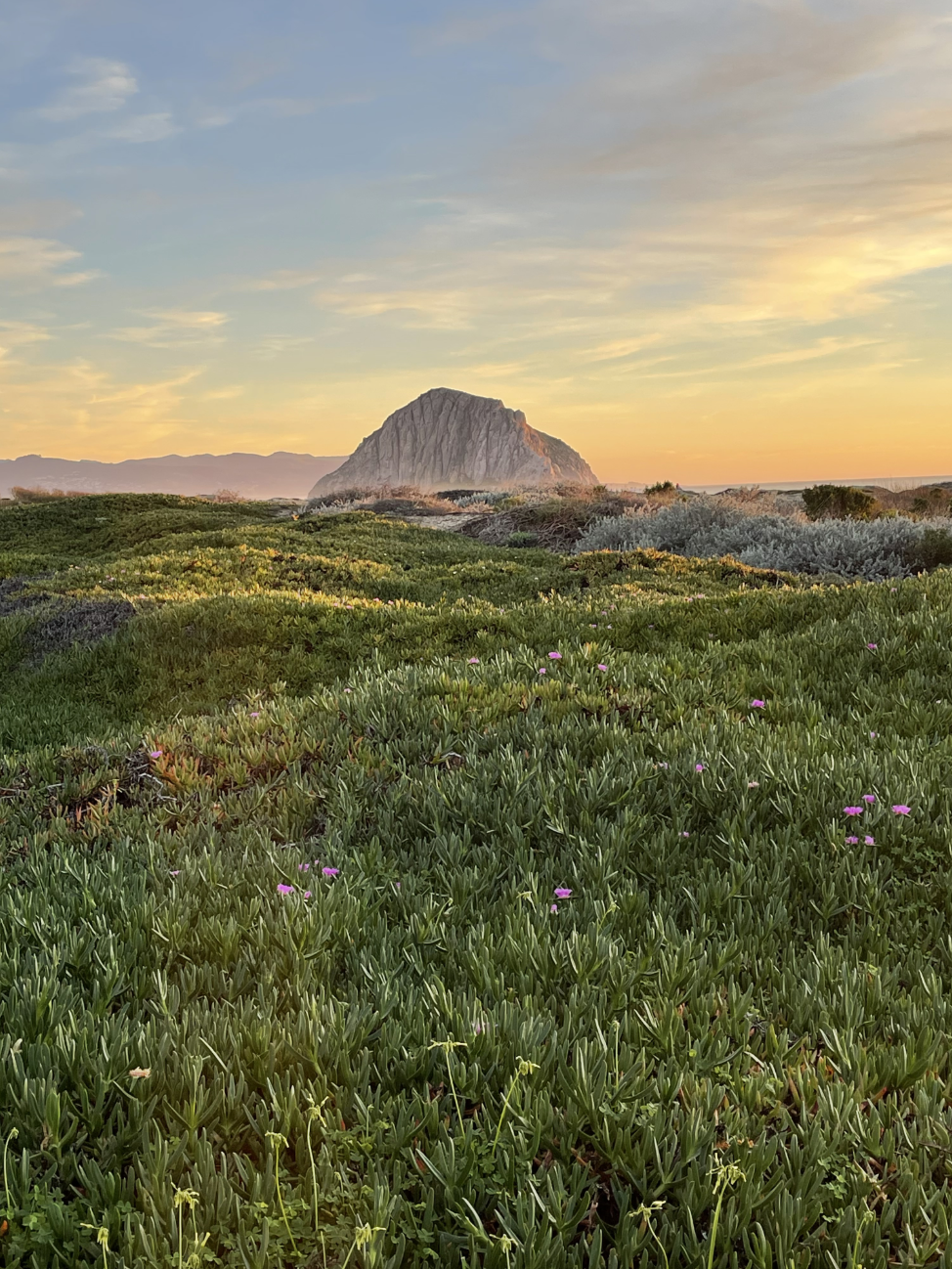 The rock in Morro Bat, CA