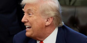 ‘My new hero’: Trump gushes over Supreme Court justices who backed him on tariffs