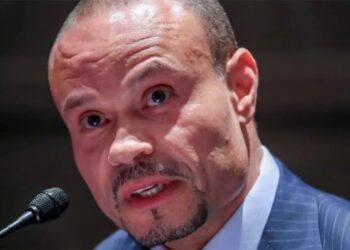 Bongino has expletive-filled meltdown when 3-time Trump voter says term ‘absolutely sucks’