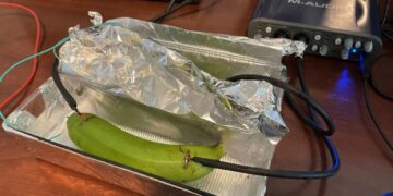 In Blind Test, Audiophiles Unable to Tell Difference Between Sound Signal Run Through an Expensive Cable and a Banana