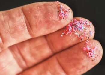 Scientists are pushing back on warnings that microplastics damage your health, saying people are just obese and calling some studies ‘a joke’