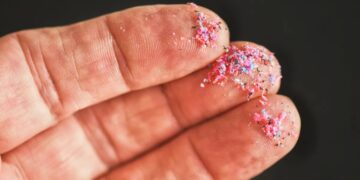 Scientists are pushing back on warnings that microplastics damage your health, saying people are just obese and calling some studies ‘a joke’