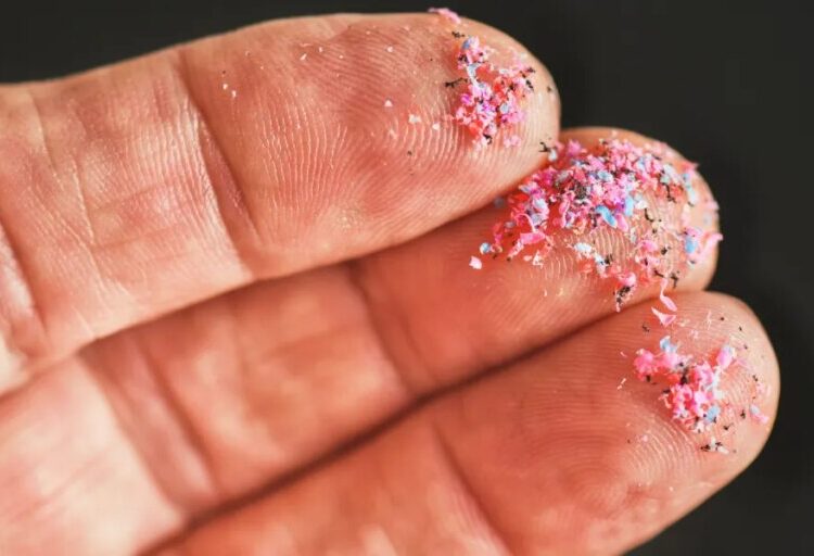 Scientists are pushing back on warnings that microplastics damage your health, saying people are just obese and calling some studies ‘a joke’