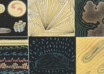 The One Thing AI Will Never Do