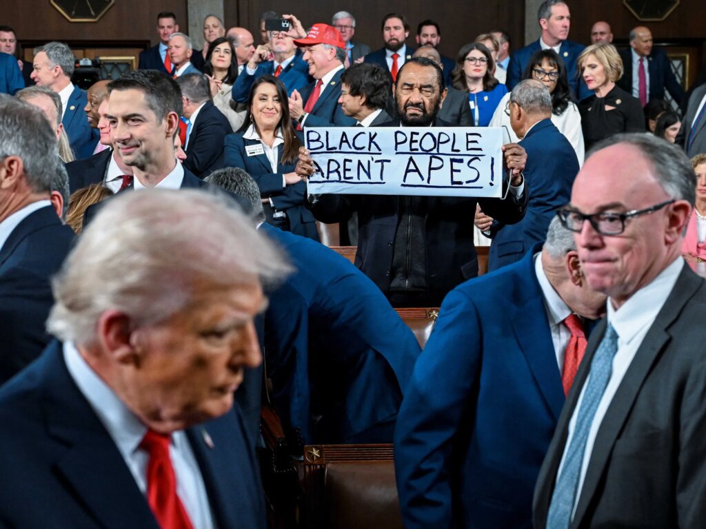 ‘I stood alone’: Dem escorted from SOTU speaks out after dramatic challenge to Trump