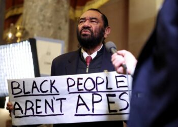 Republicans erupt in cheers as Dem escorted out of State of the Union