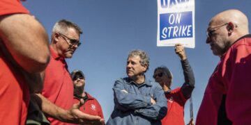 Sherrod Brown Is Grinding It Out