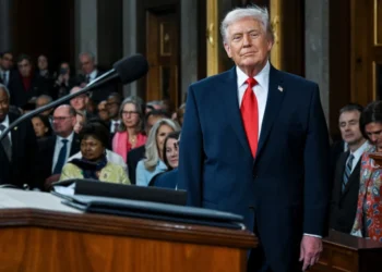 ‘Desperate’ Trump knows he just threw ‘last hurrah’ before midterms blowout: analysis